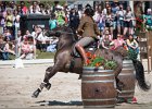 Pferd International 109